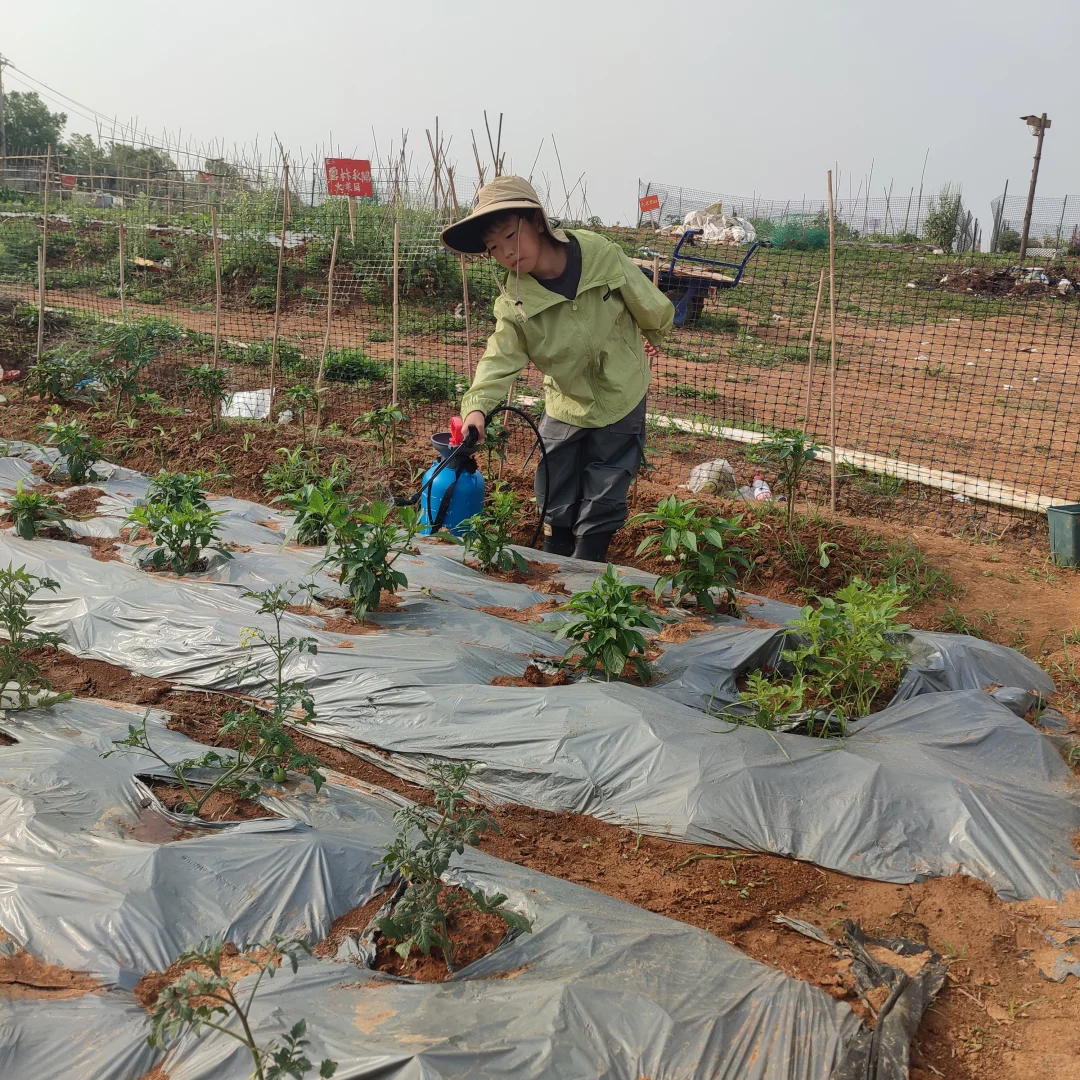 春季的播种迎来了夏季的丰收，自给自足真好