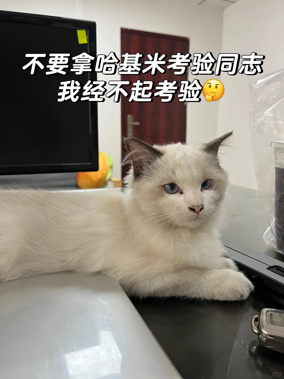 裸辞勇闯Tiktok？这些工具或许能帮到你