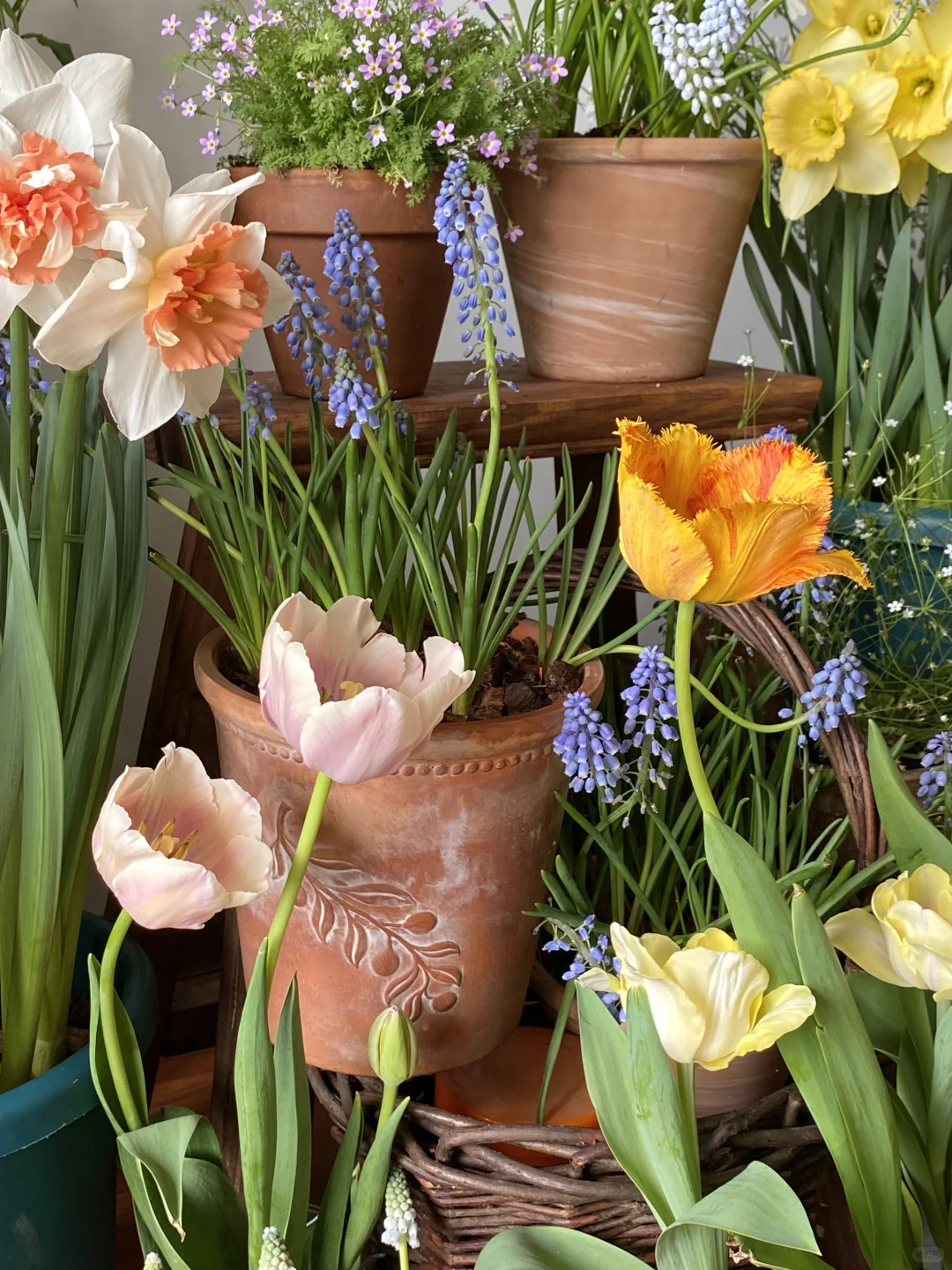 此时此刻我家???