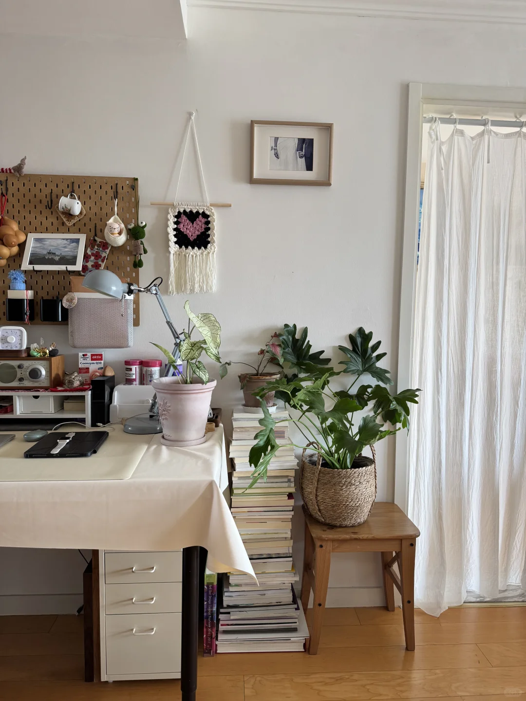 ⸝⸝꙳?i人用绿植爆改出租屋°.