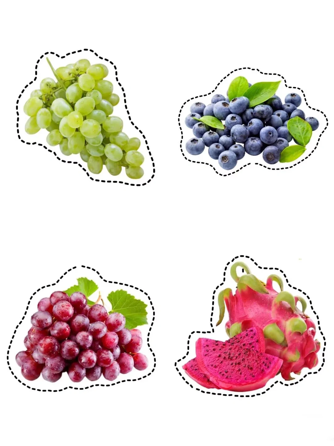 真实的蔬菜水果|均可打印（48种）