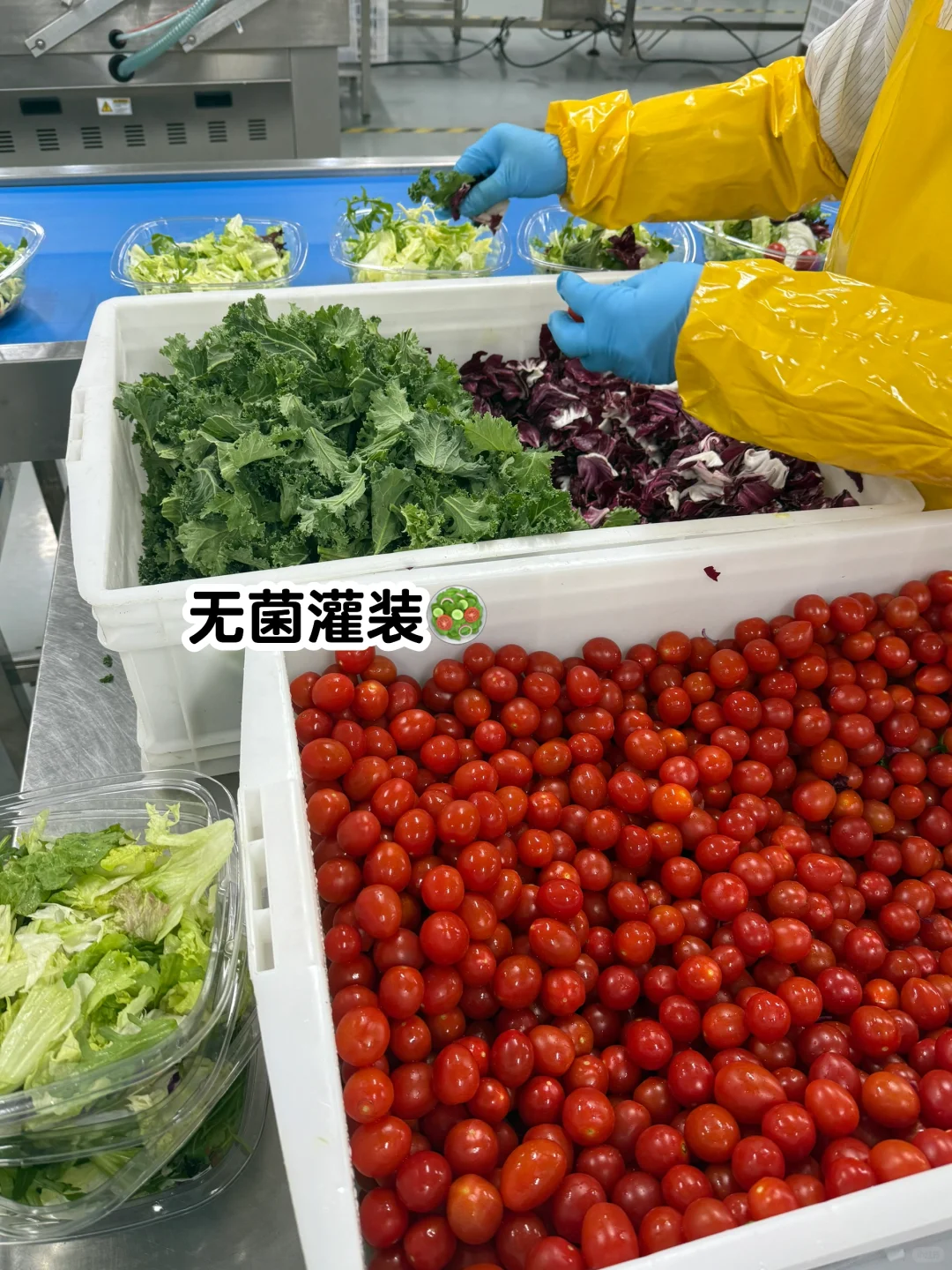 说真的！这是我见过浪费最严重的工厂…