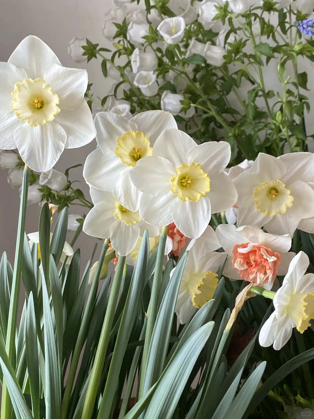 此时此刻我家???