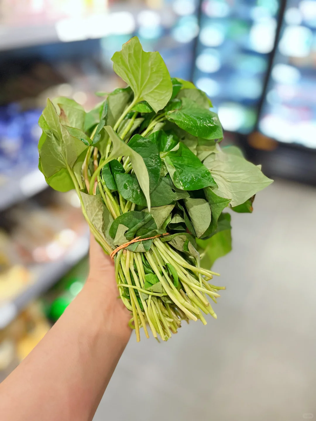 这些菜你都认识吗