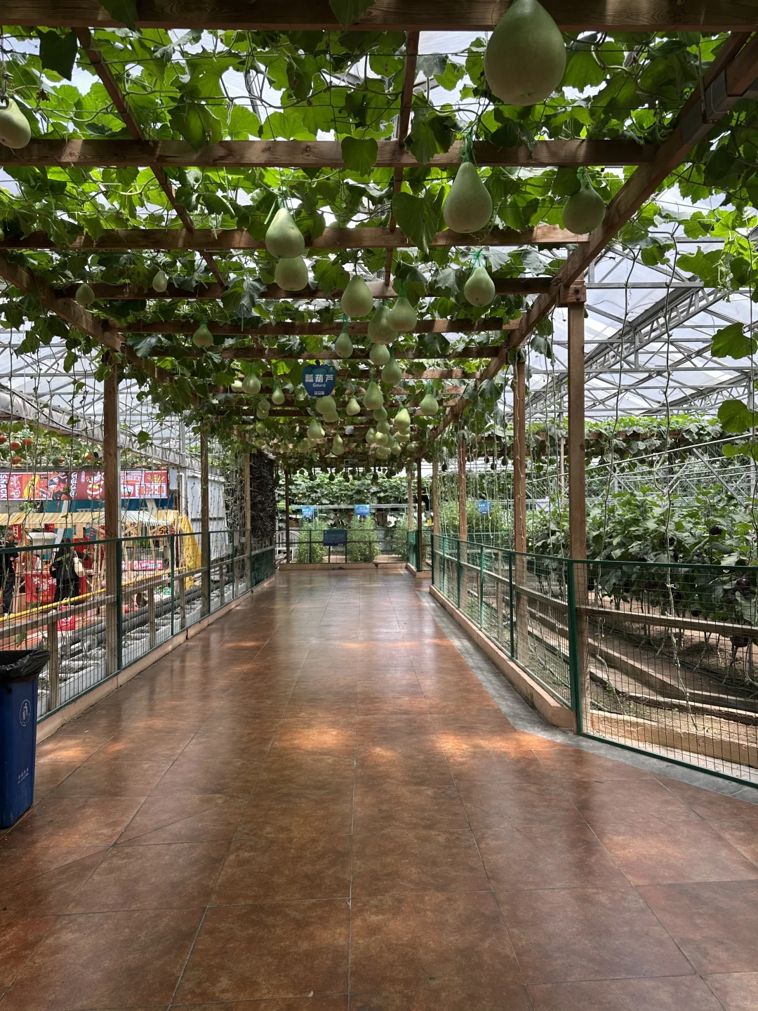 空中蔬菜廊架Aerial vegetable trellis
