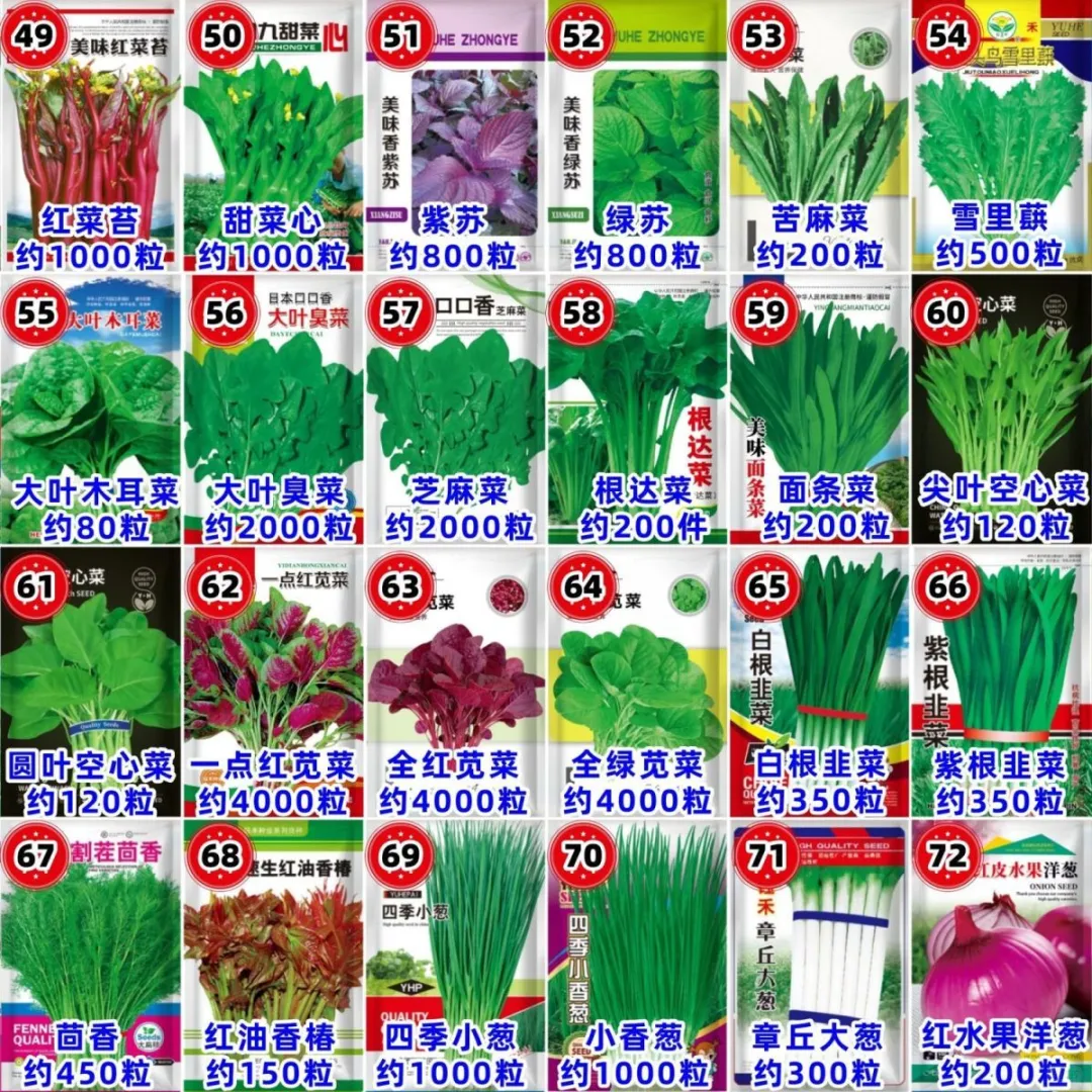 原来种子也有这么多呢