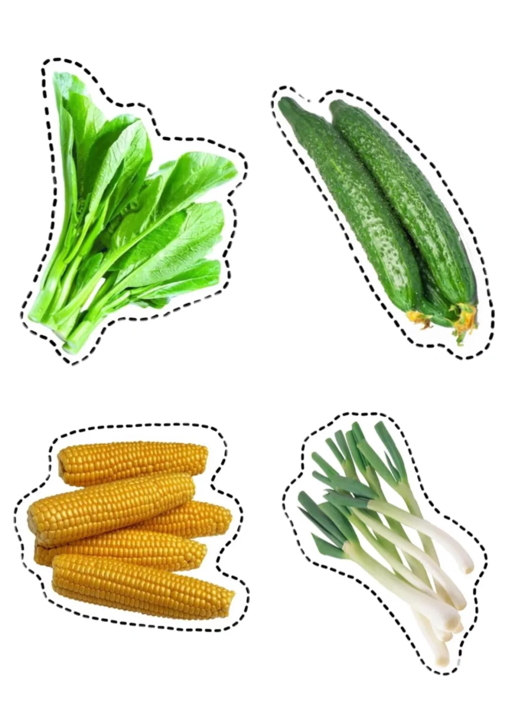 真实的蔬菜水果|均可打印（48种）