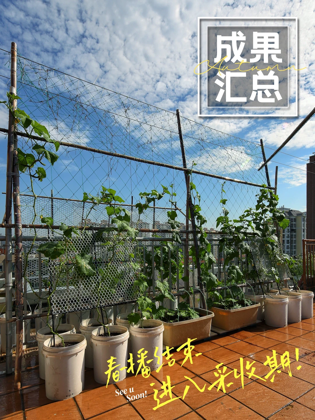 春天辛勤的播种，终于迎来收获满满的采收！