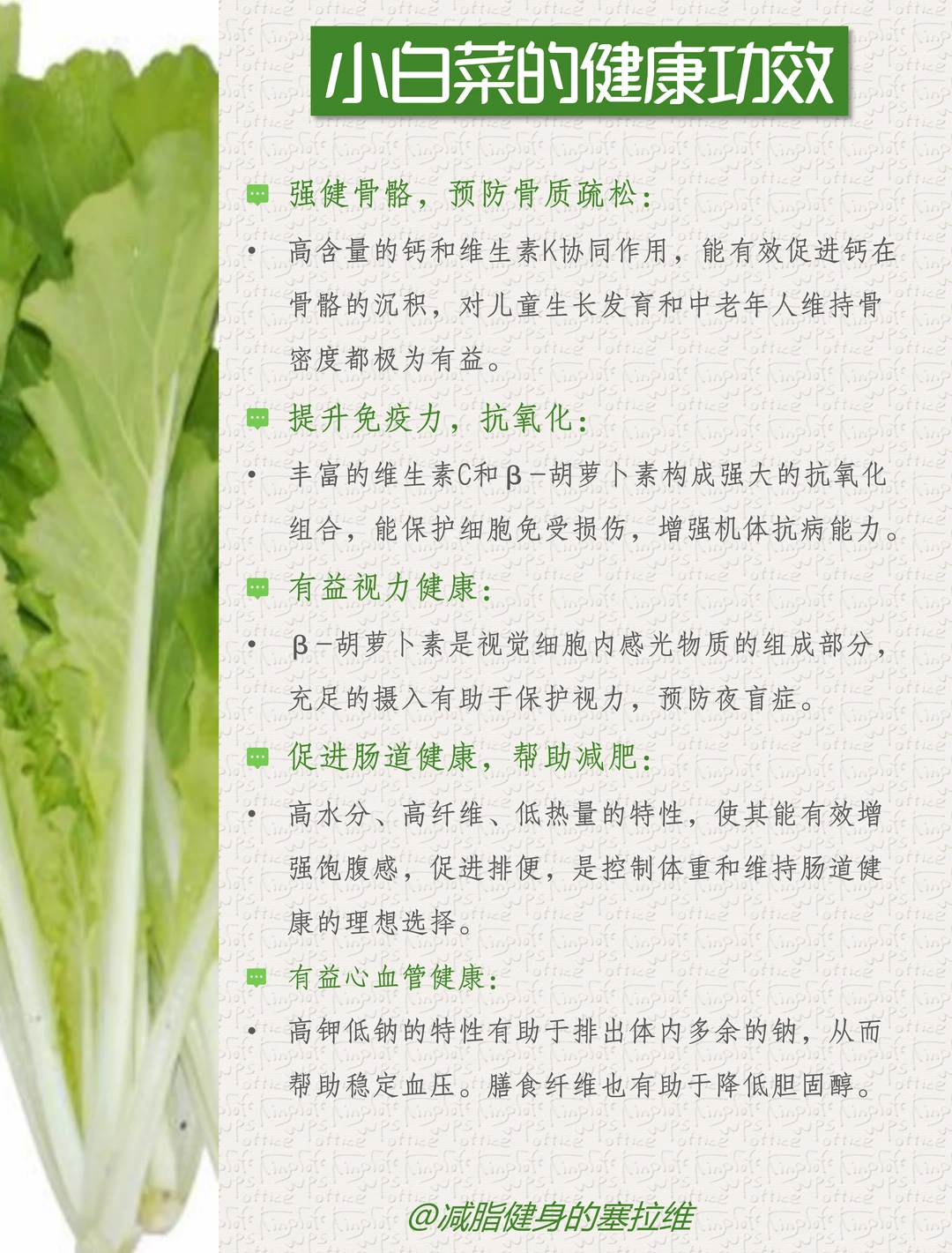 小白菜的营养价值