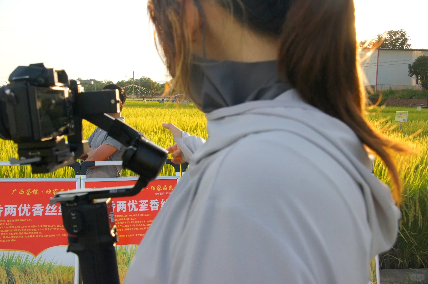 00后在农业企业的一天