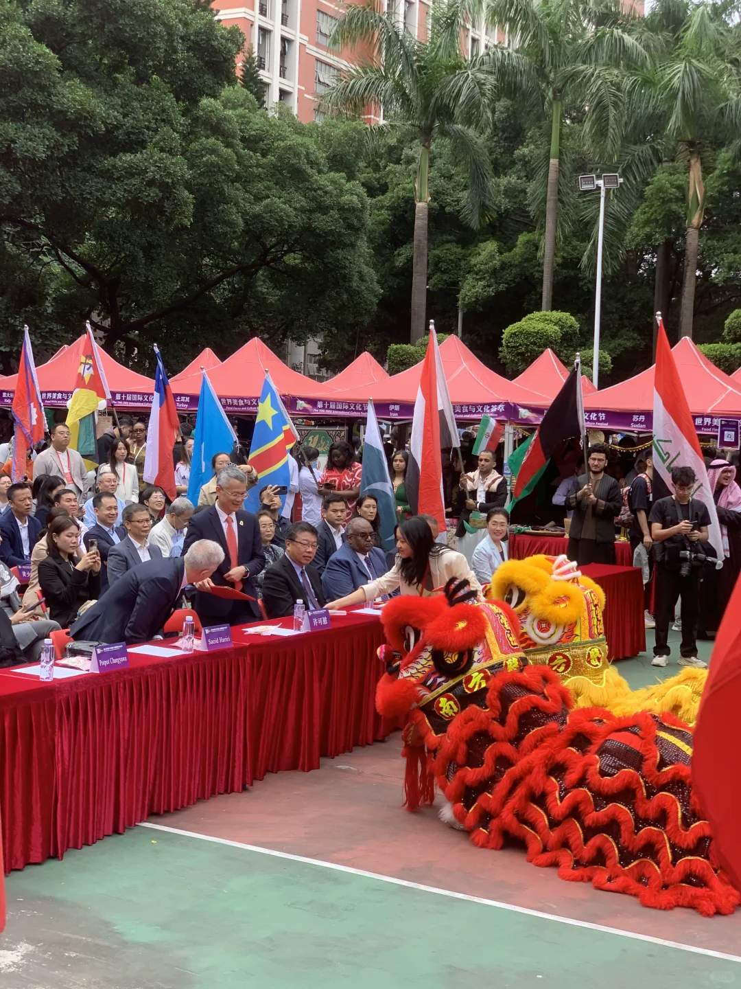 开始了开始了南医大国际文化交流节！！