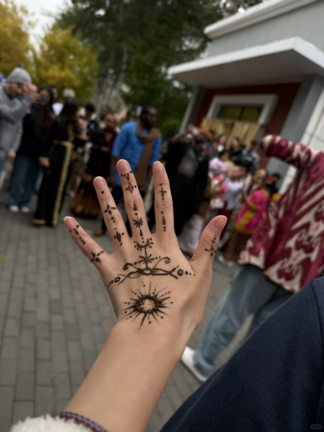 来看看吧，这才是多国家交流的最好方式