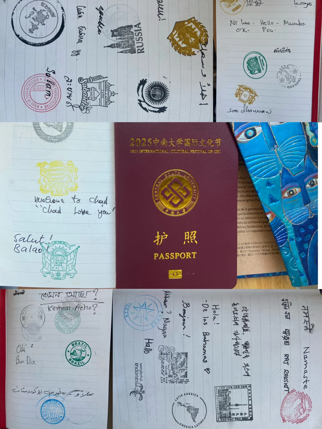 中南国际文化节，我集齐了23种语言的“你好”