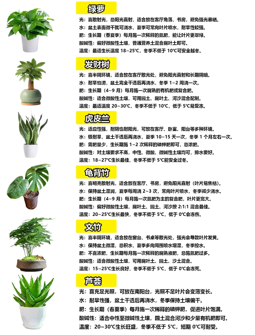 108种绿植花卉养护手册大全