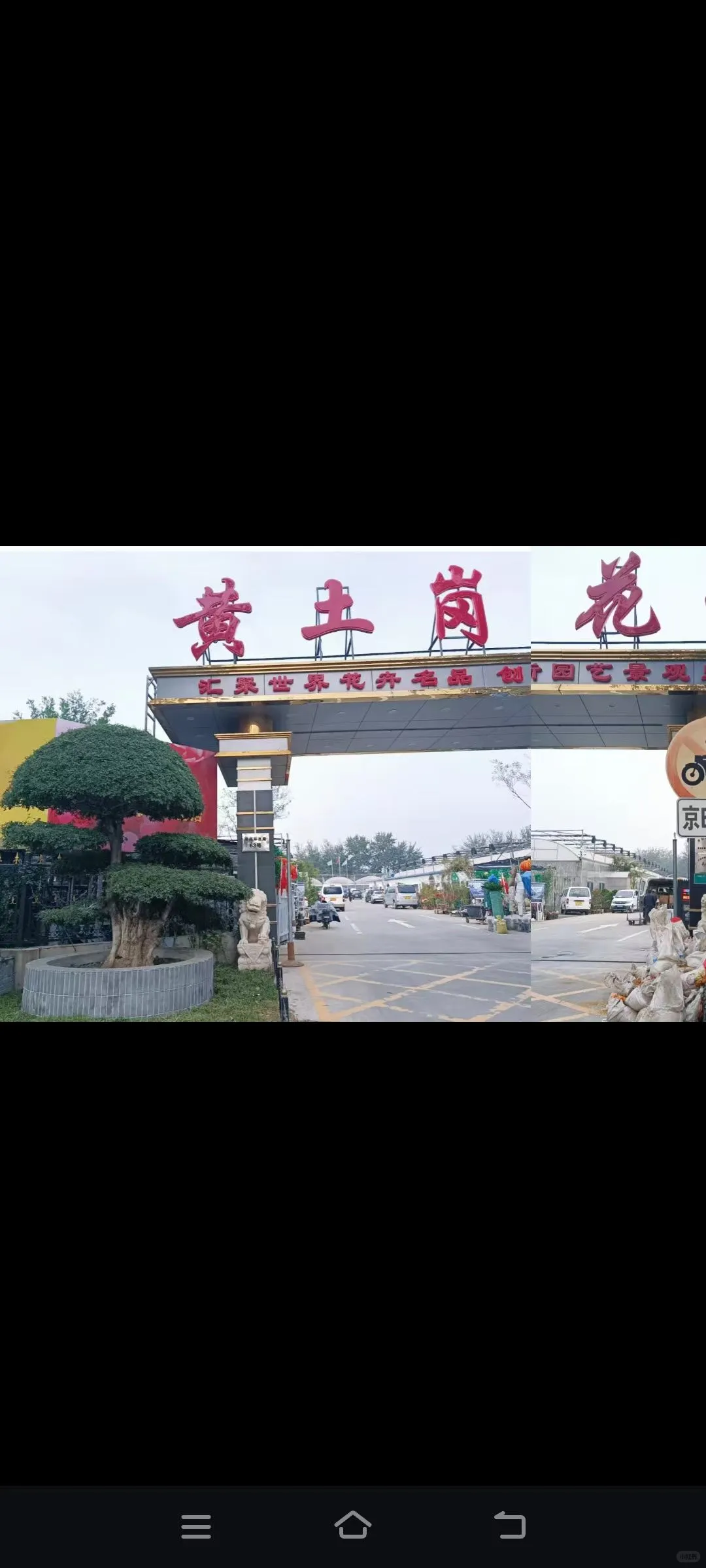 北京鲜花租摆，花卉租赁，绿植租摆公司