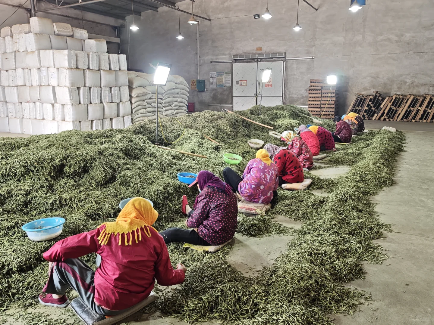 农产品初加工的心酸