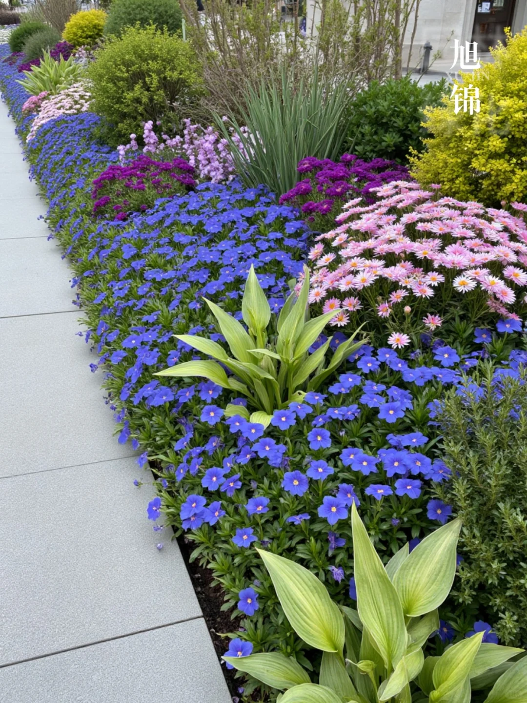 超实用！庭院花境搭配万能公式