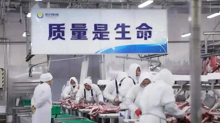 走进“牛肉超级工厂“探秘肉牛产业”