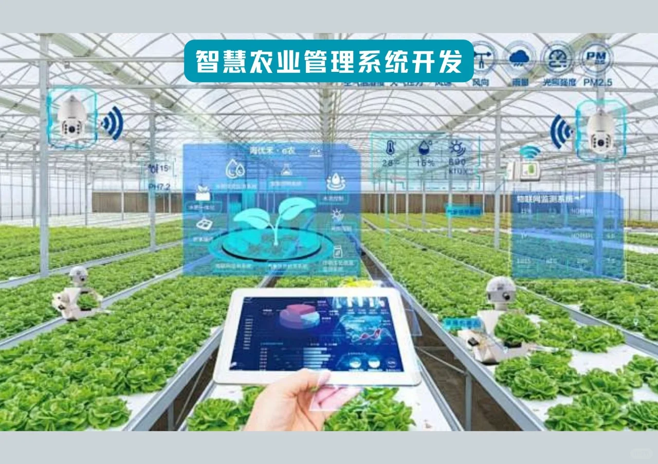 智慧农业管理系统开发 推动农业现代化发展