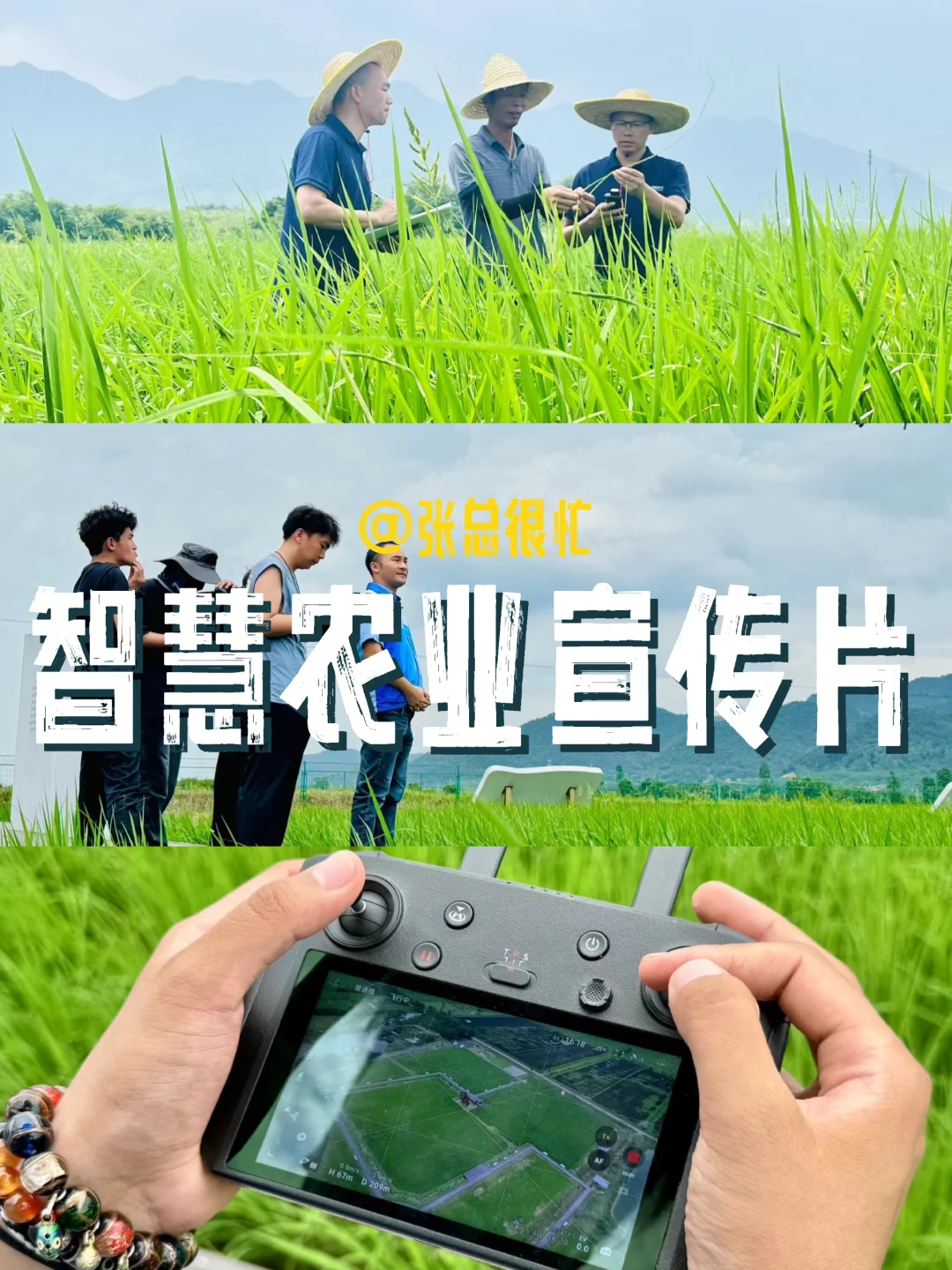田野上的科技生活?