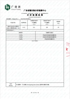 浙BA热血继续！官方合作伙伴千年舟解锁新品