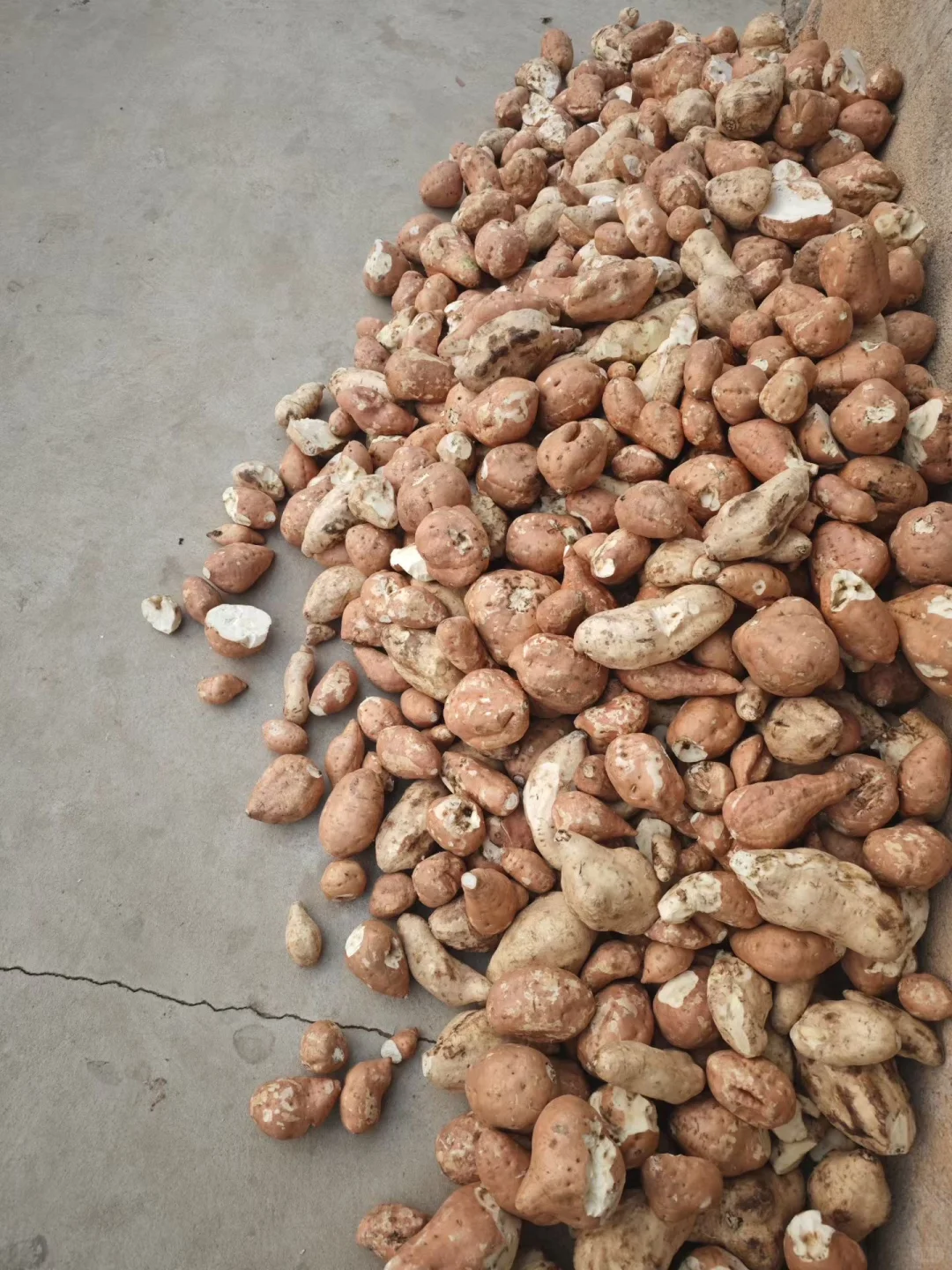 农村纯手工红薯粉