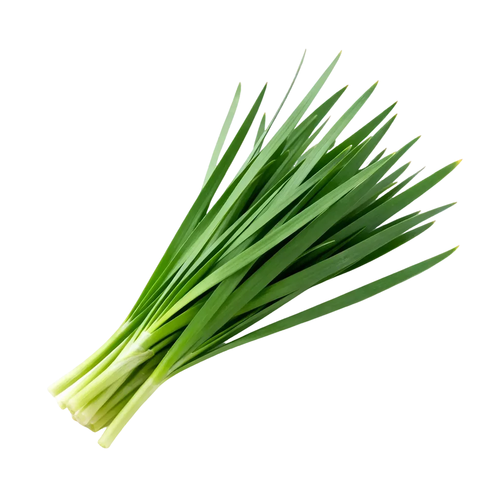 青菜图标，平常你经常吃的是哪一款呢？