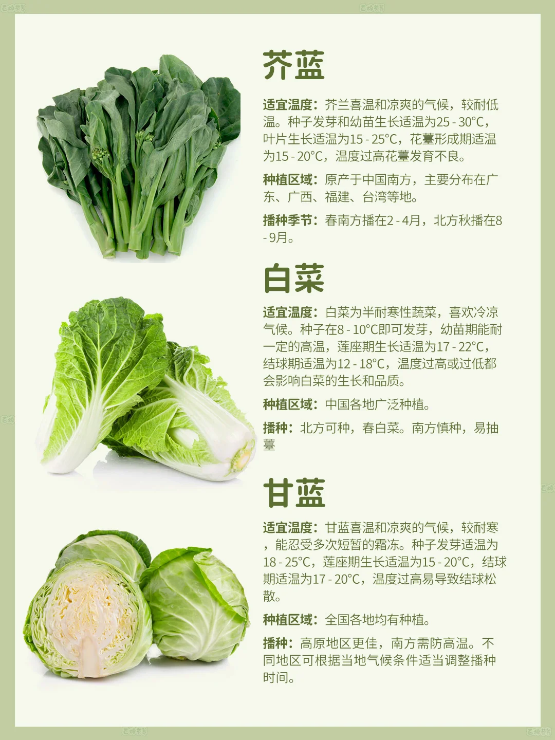 4月种菜季 | 超适合种的叶类菜?