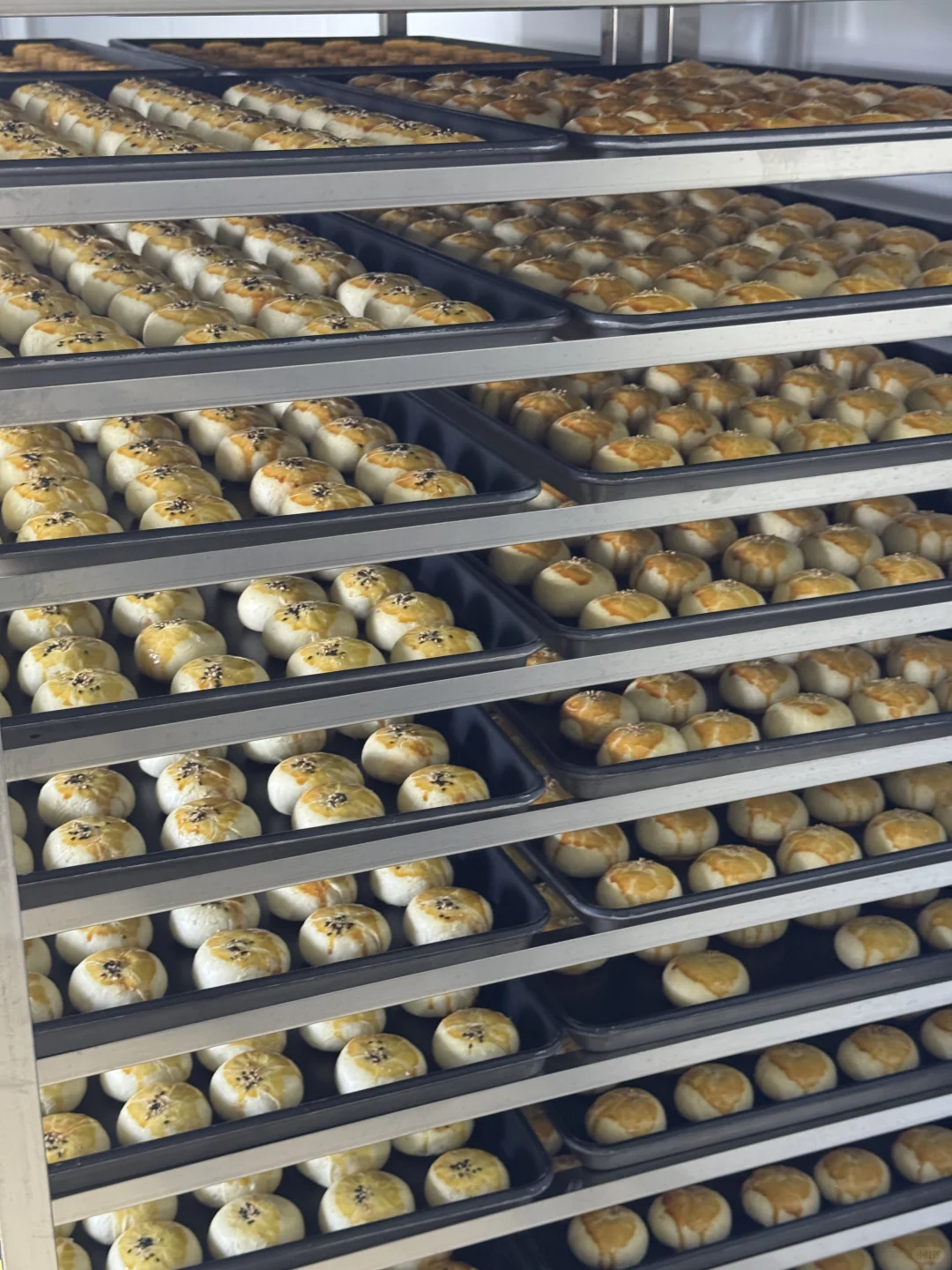 每天大量生产 月饼源头厂家～