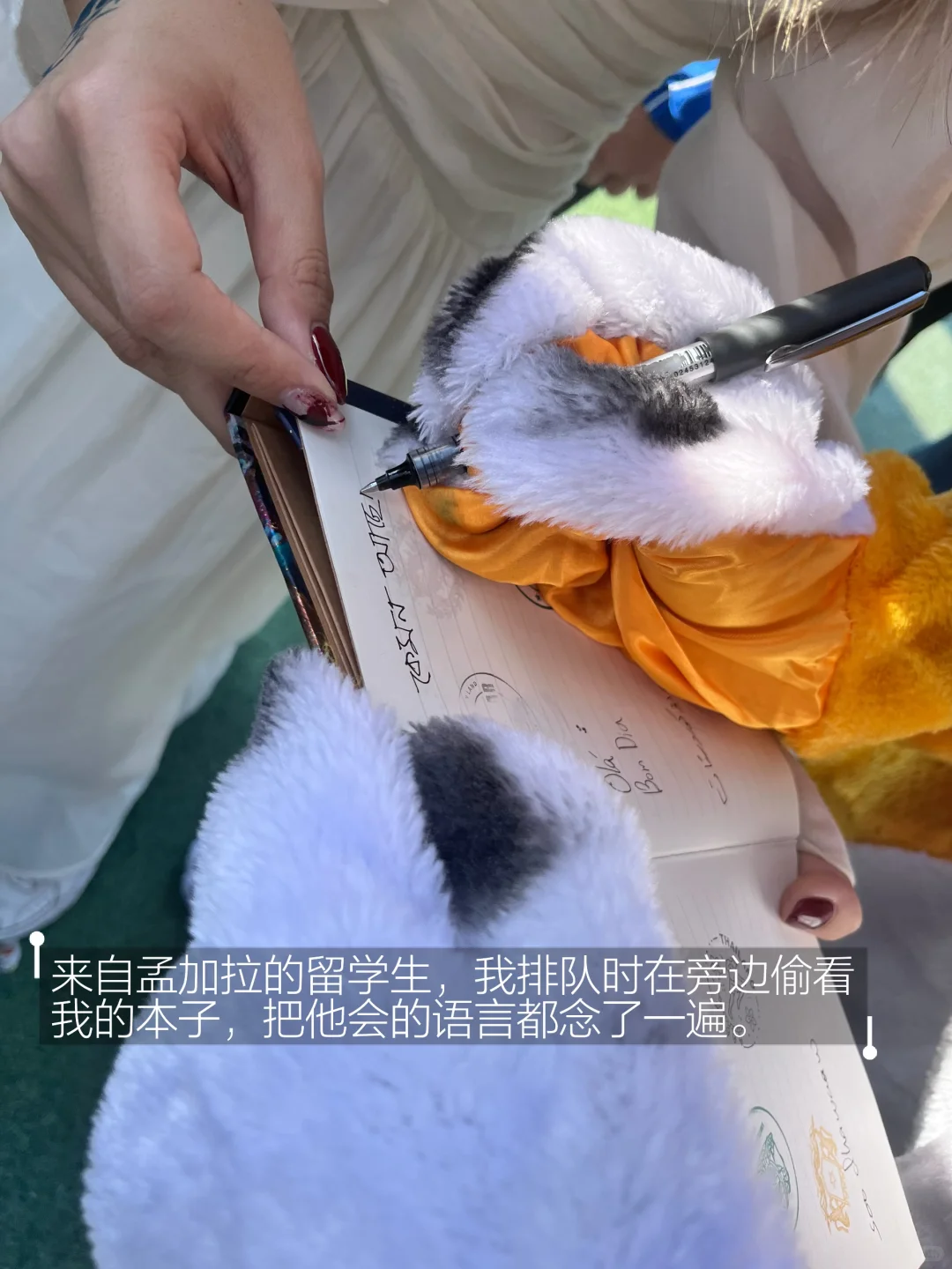 中南国际文化节，我集齐了23种语言的“你好”