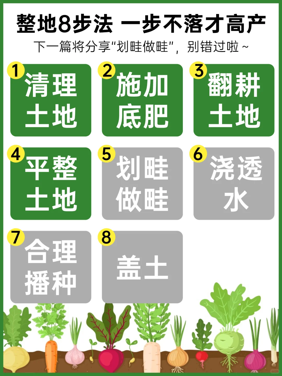 地栽种菜 | 新手整地全流程！?