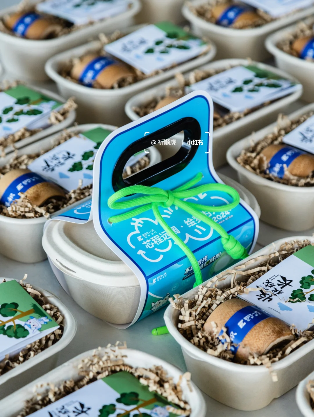 新能源行业都在送?环保又有创意的商务礼盒