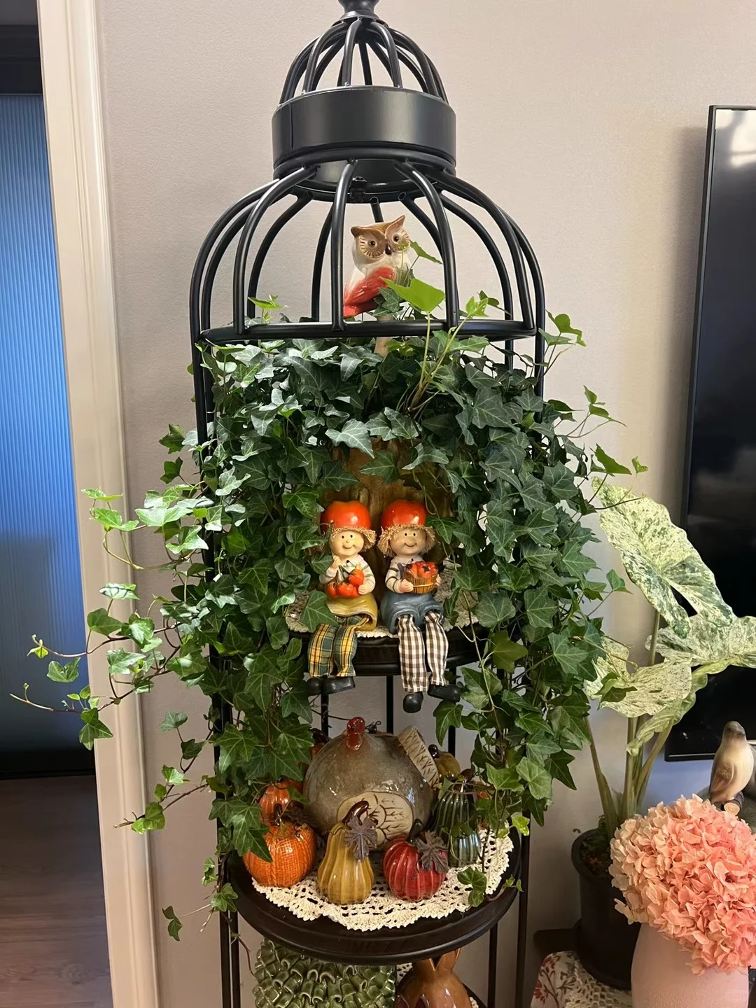 被植物环绕的家?植物治愈人心