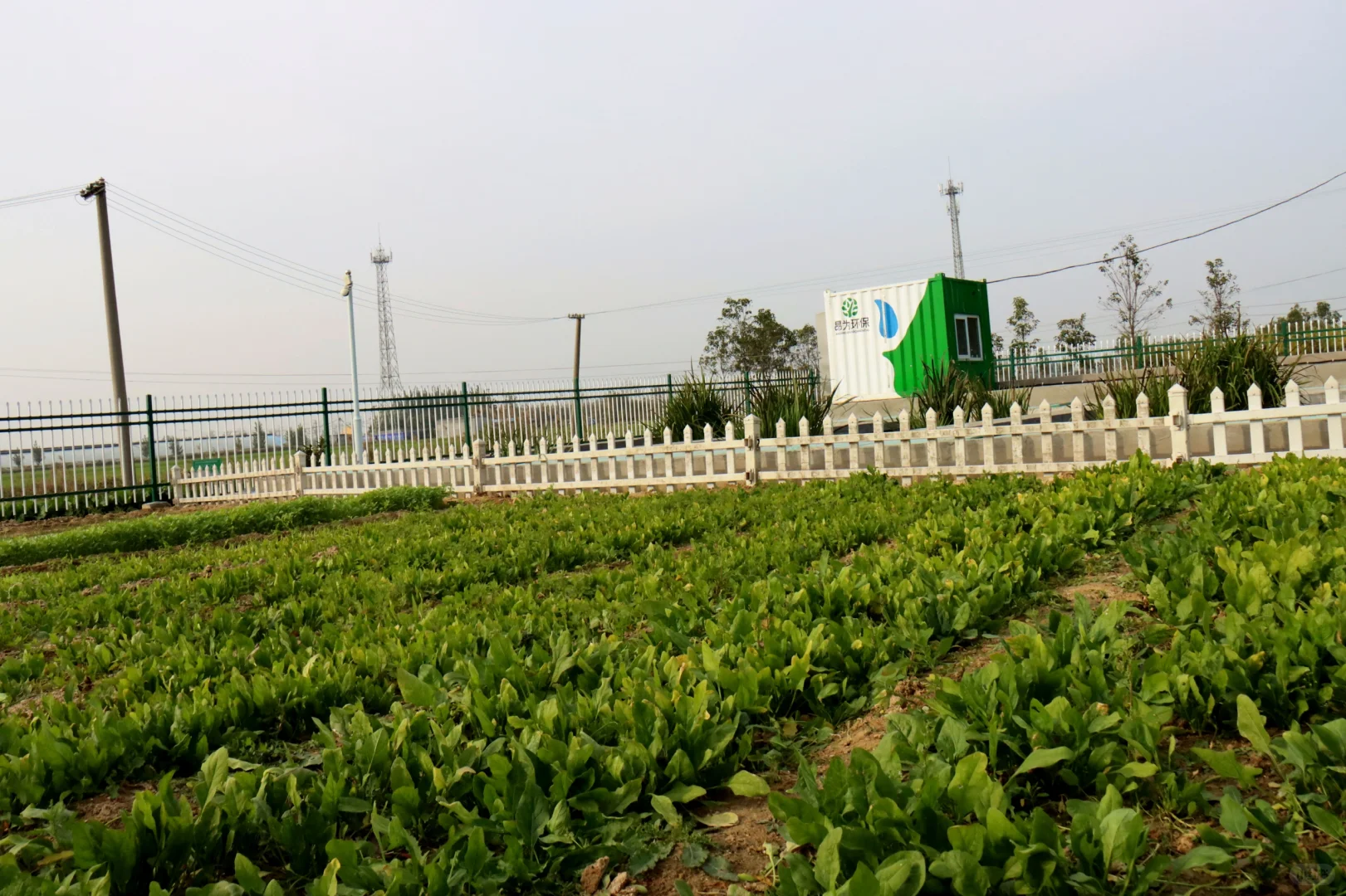 农村生活污水治理资源化利用“最好的方式”