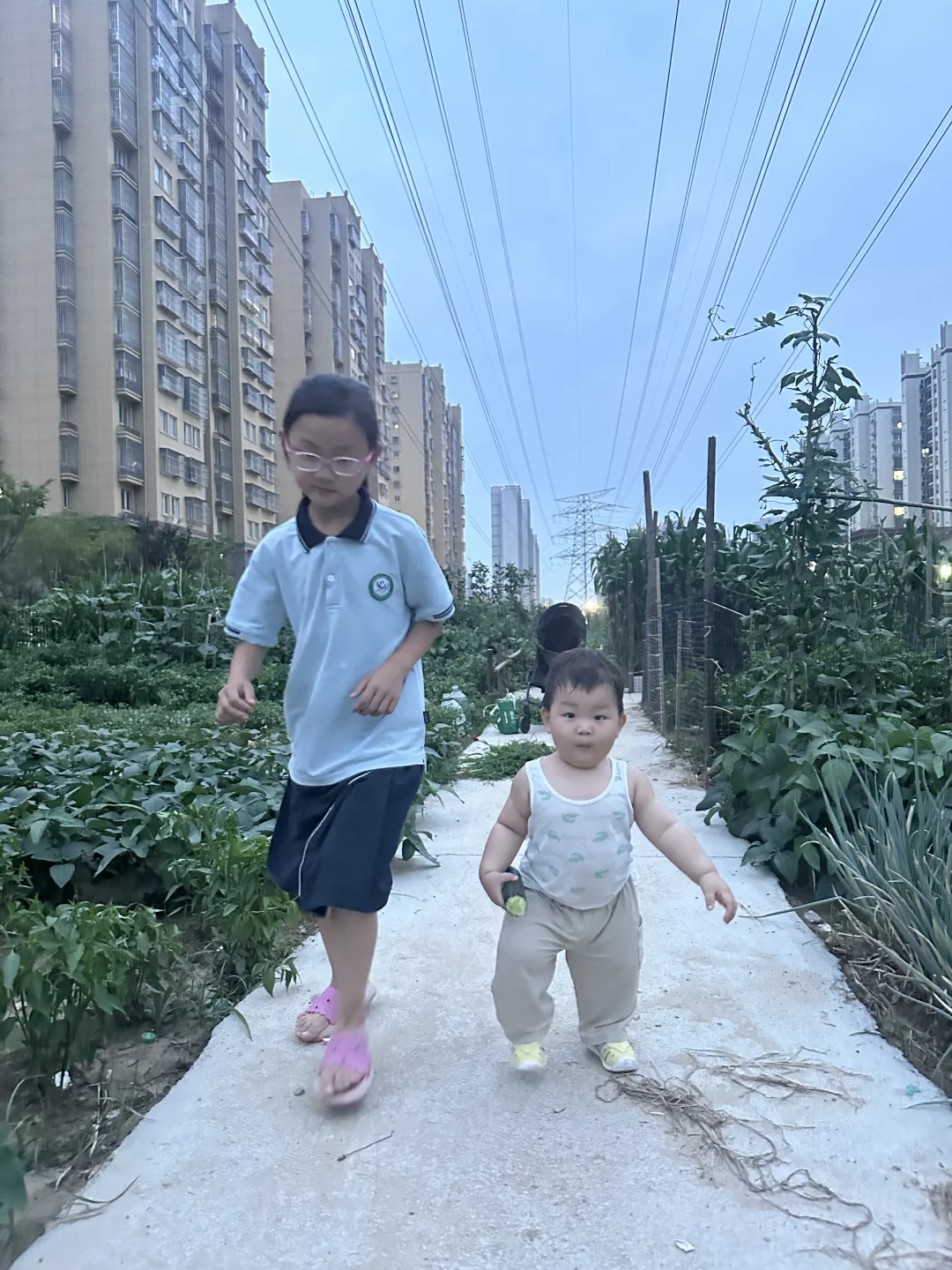 宝宝春季应季蔬菜