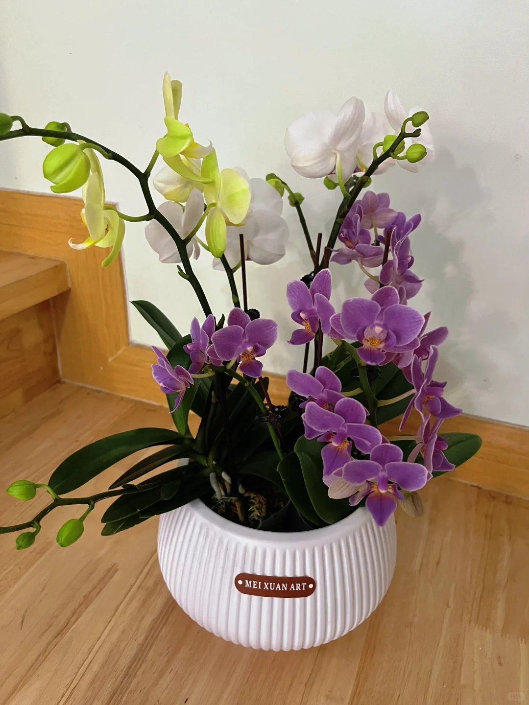 奉劝大家入坑需谨慎?