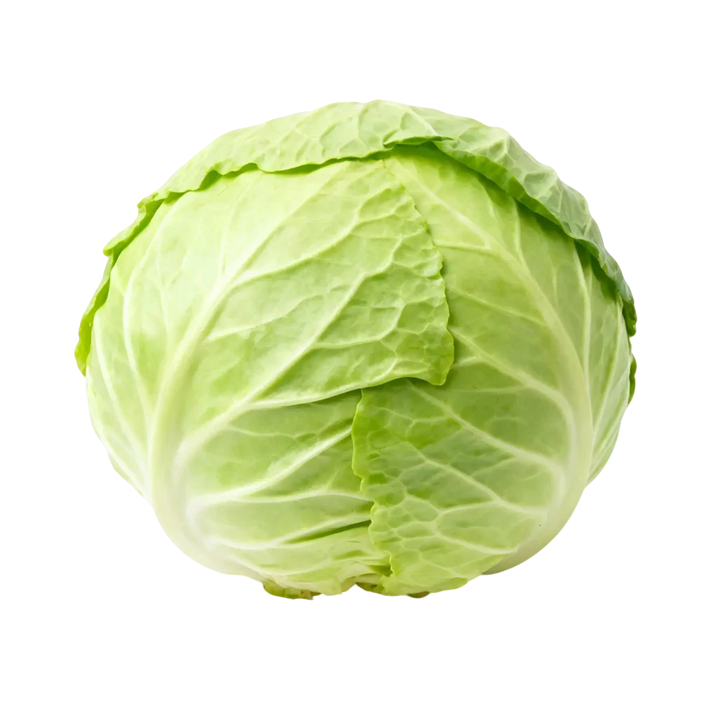 青菜图标，平常你经常吃的是哪一款呢？