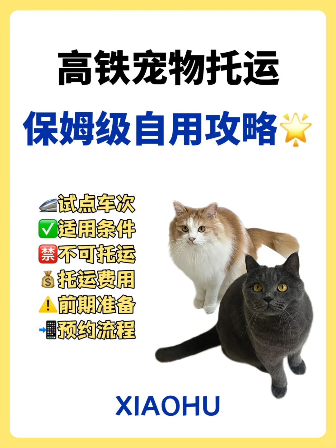 五一带宠出行？高铁托运宠物保姆级攻略来咯