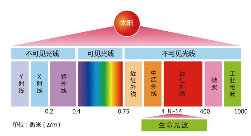 独特碳原子结构使其成为生命光波的完美载体