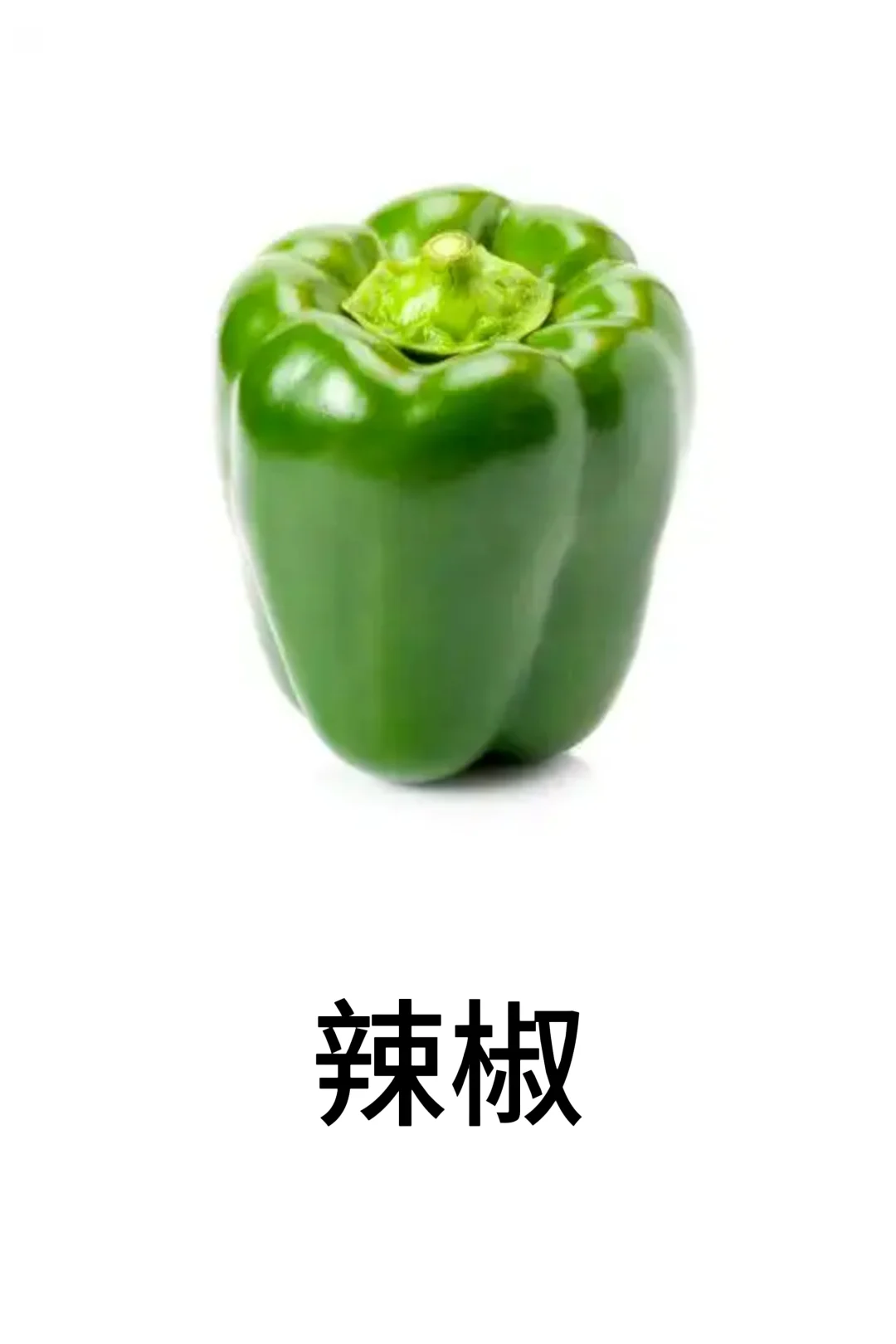 基础认知-蔬菜篇