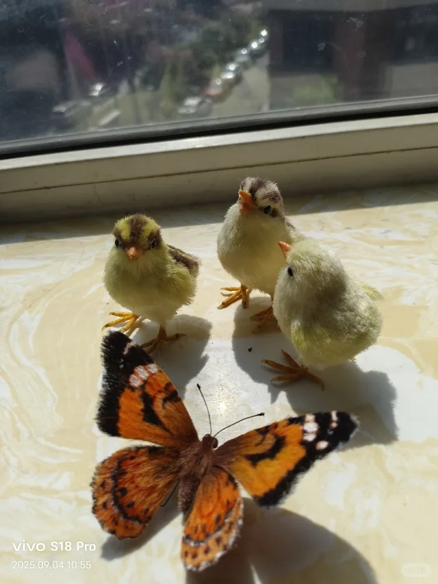 蚕丝做的手工艺品