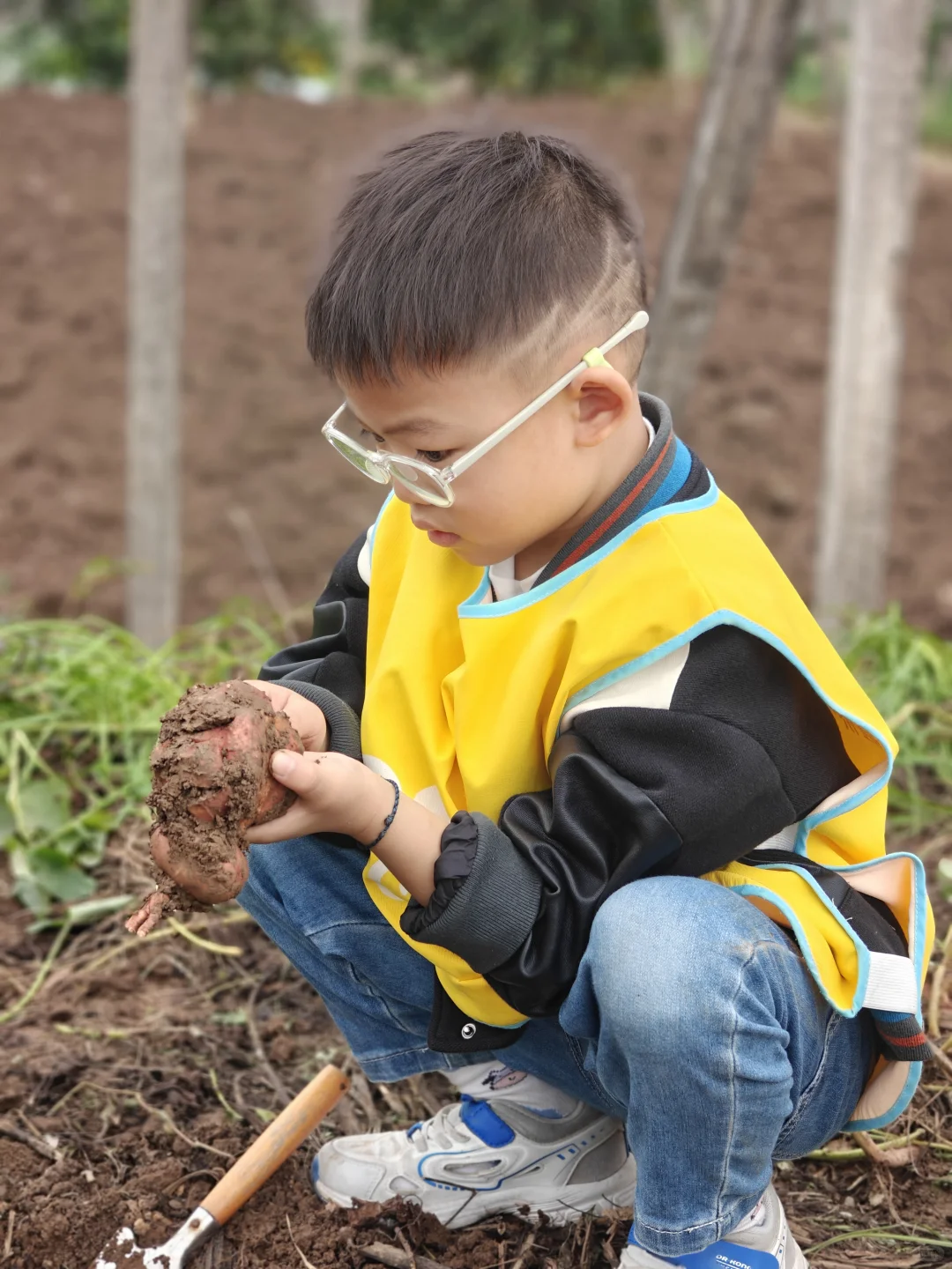 亲子游 | 巴南中坝岛 蔬菜采摘