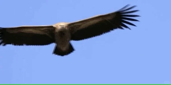 颠覆现在引领未来