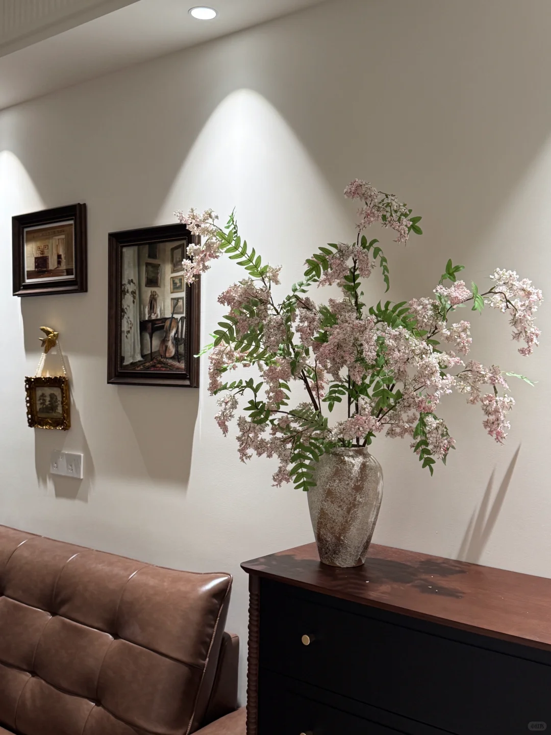 懒人福音?养不死的绿植｜氛围感的神！