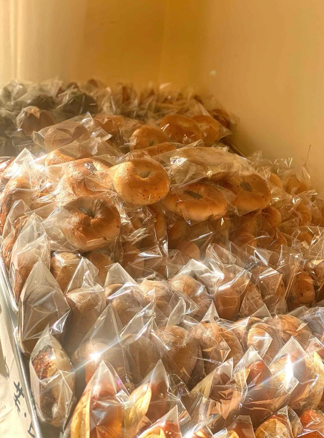 已经适应了石家庄面包厂里的生活