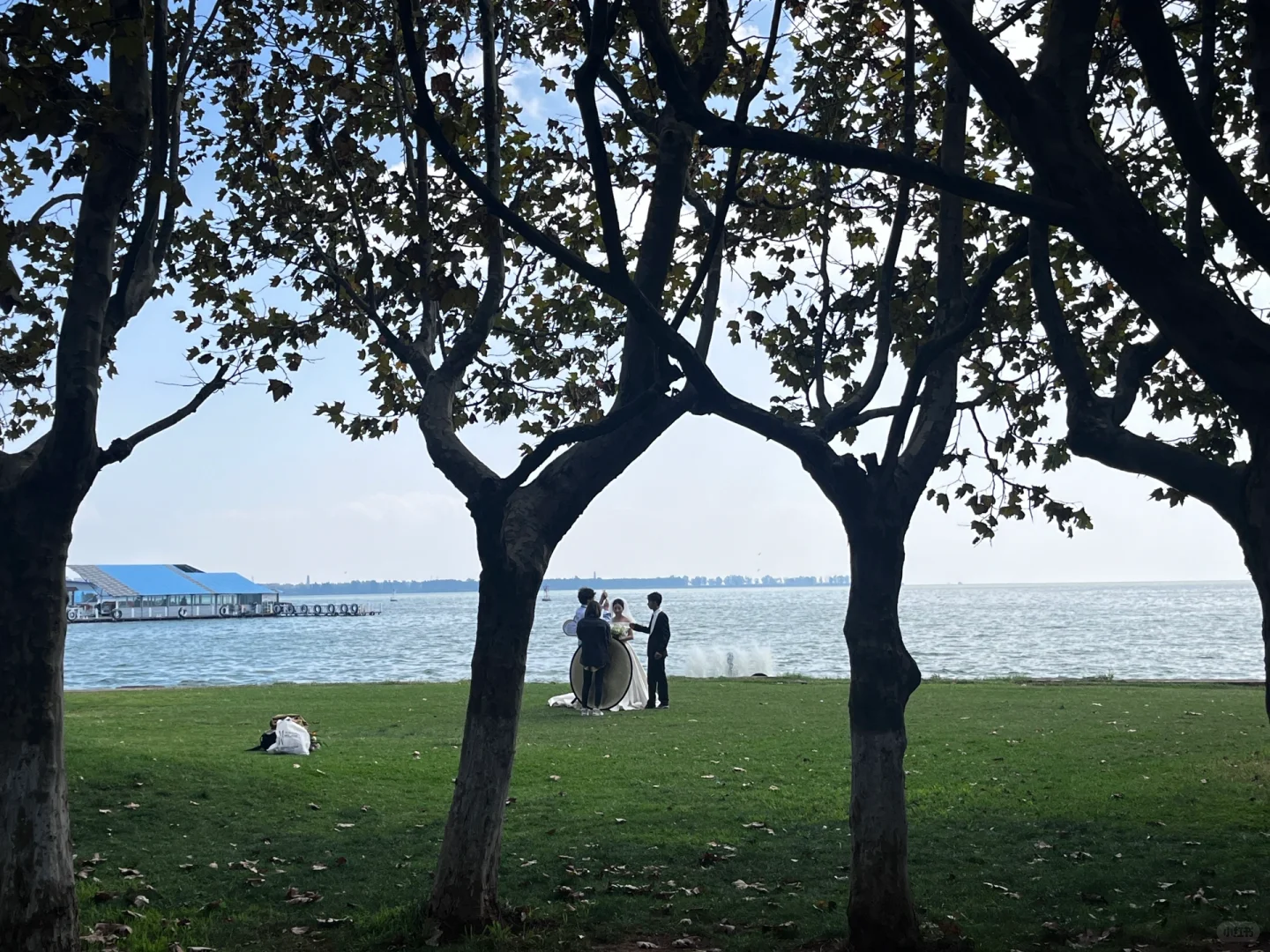 农文旅+电商的新媒体运营思路。