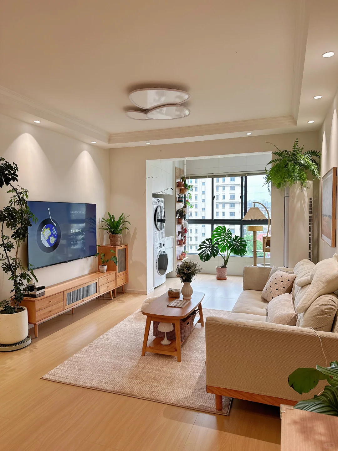 原木风小家入住一年，分享家里的一些植物