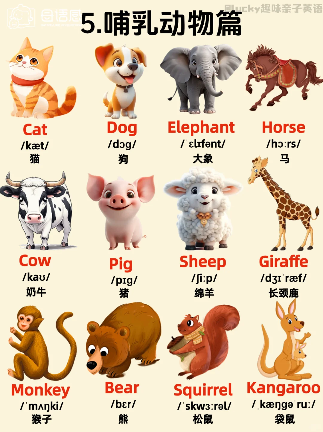 绝了！这英语主题闪卡也太全了吧!!!