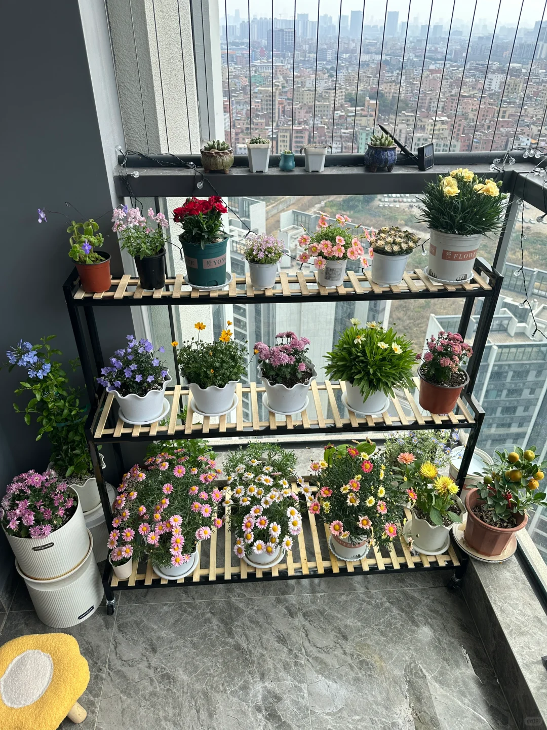 已经两天没阳光了?