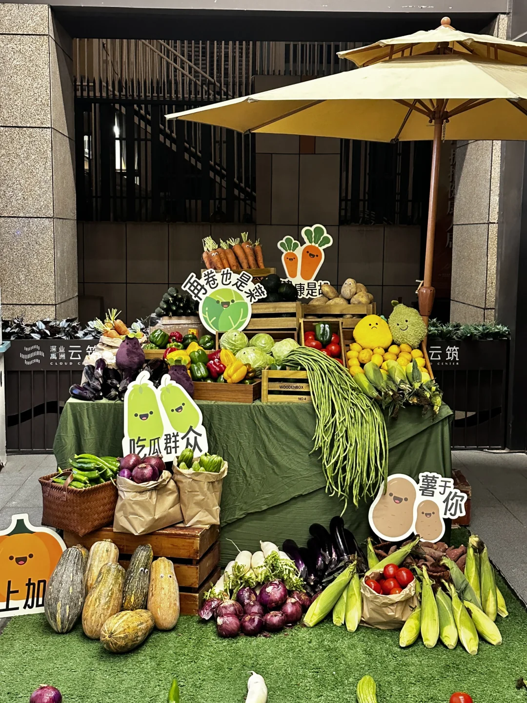 蔬菜套⭕圈你见过吗？